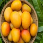 गर्मियों में आम खाने की ये 5 ग़लतियाँ आपकी सेहत को पहुंचा सकती हैं बड़ा नुकसान