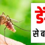 बारिश में क्यों बढ़ जाता है डेंगू का खतरा? जानिए बचाव और इलाज के उपाय