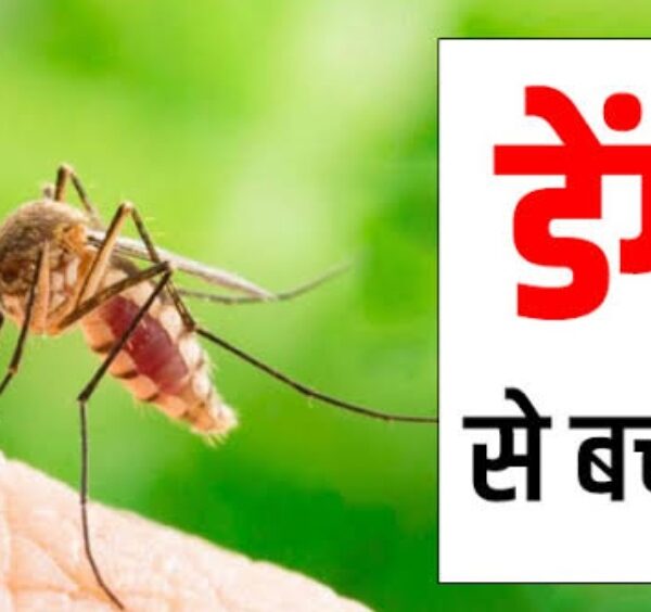 बारिश में क्यों बढ़ जाता है डेंगू का…